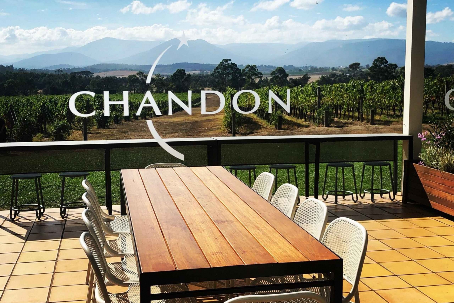 ¡Tour gastronómico por el valle de Yarra con Chandon y safari con canguros!