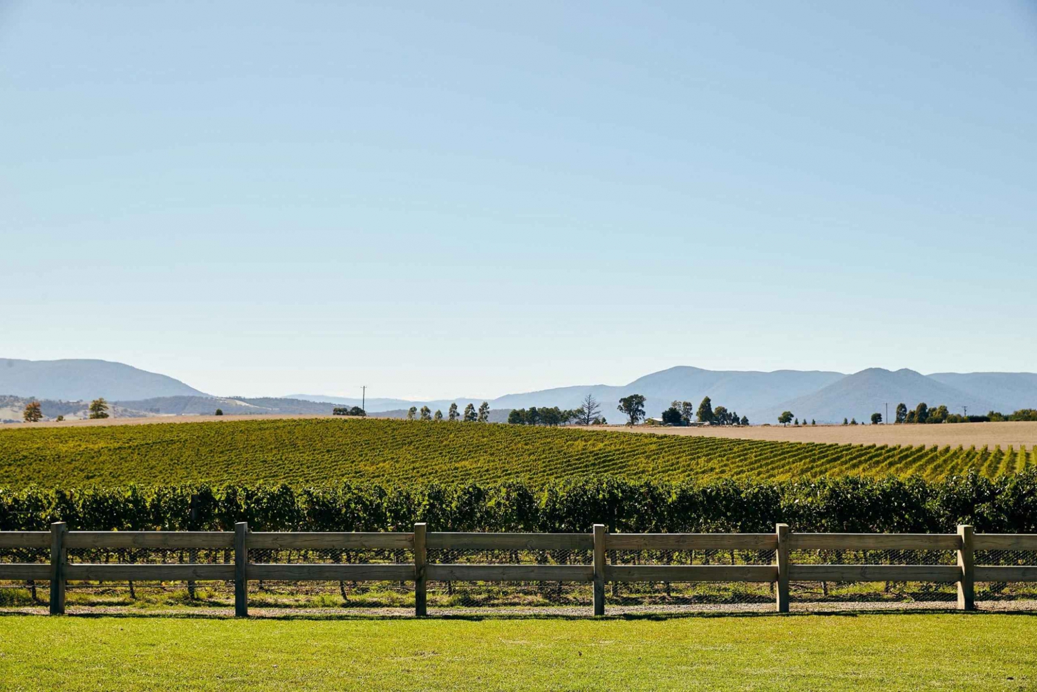 Melbourne: Yarra Valley Wine Tour & Lunch & Gin/Beer Option