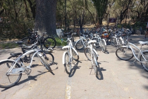 PASEO EN BICICLETA POR ICONICOS SITIOS DE LA CDMX / DESAYUNO Y CERVEZA