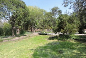 PASEO EN BICICLETA POR ICONICOS SITIOS DE LA CDMX / DESAYUNO Y CERVEZA