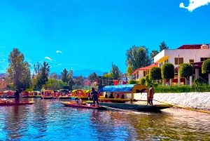 Mexico City: Party on a trajinera through Xochimilco with snacks, music, and drinks