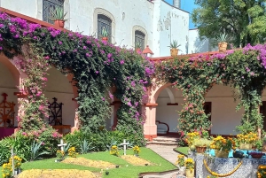 Coyoacan, Historia y vida de un barrio magico