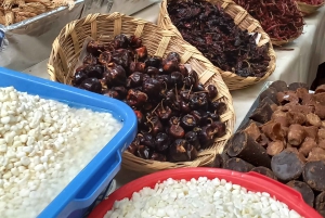 Coyoacan, Historia y vida de un barrio magico