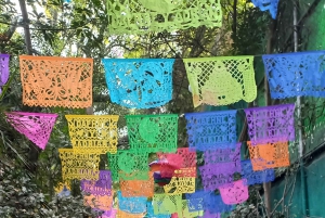 Coyoacan, Historia y vida de un barrio magico