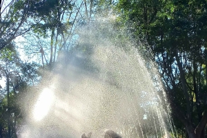 Coyoacan, Historia y vida de un barrio magico