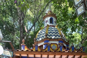 Coyoacan, Historia y vida de un barrio magico