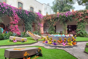 Coyoacan, Historia y vida de un barrio magico