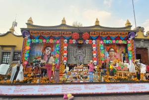 Coyoacan, Historia y vida de un barrio magico