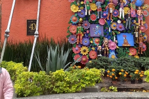 Coyoacan, Historia y vida de un barrio magico