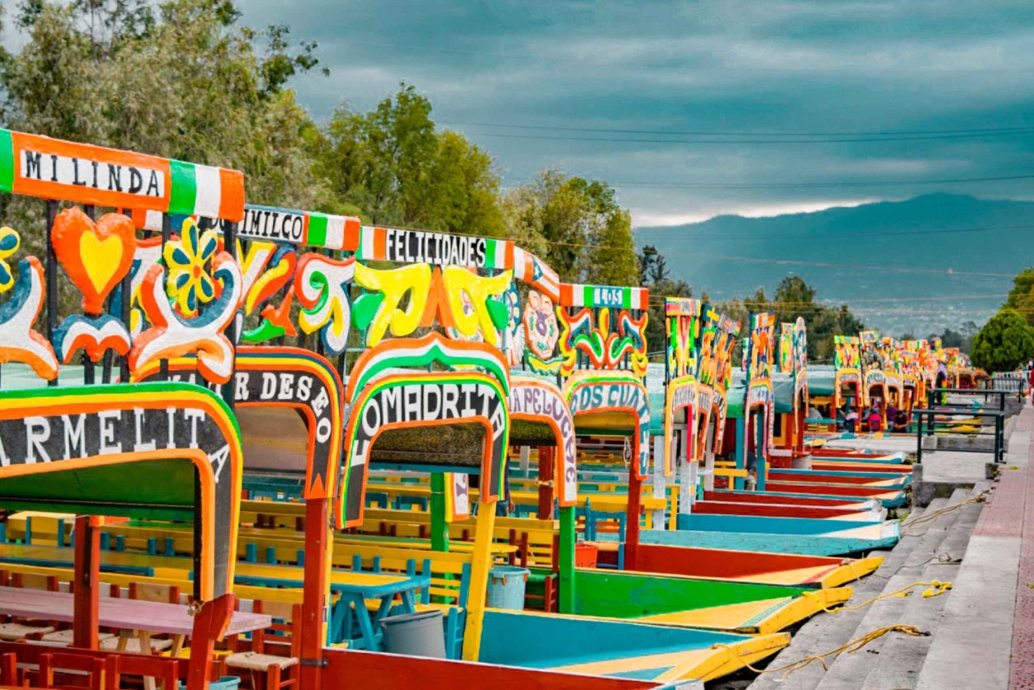 Coyoacán y Xochimilco: Descubre un oasis en Ciudad de México