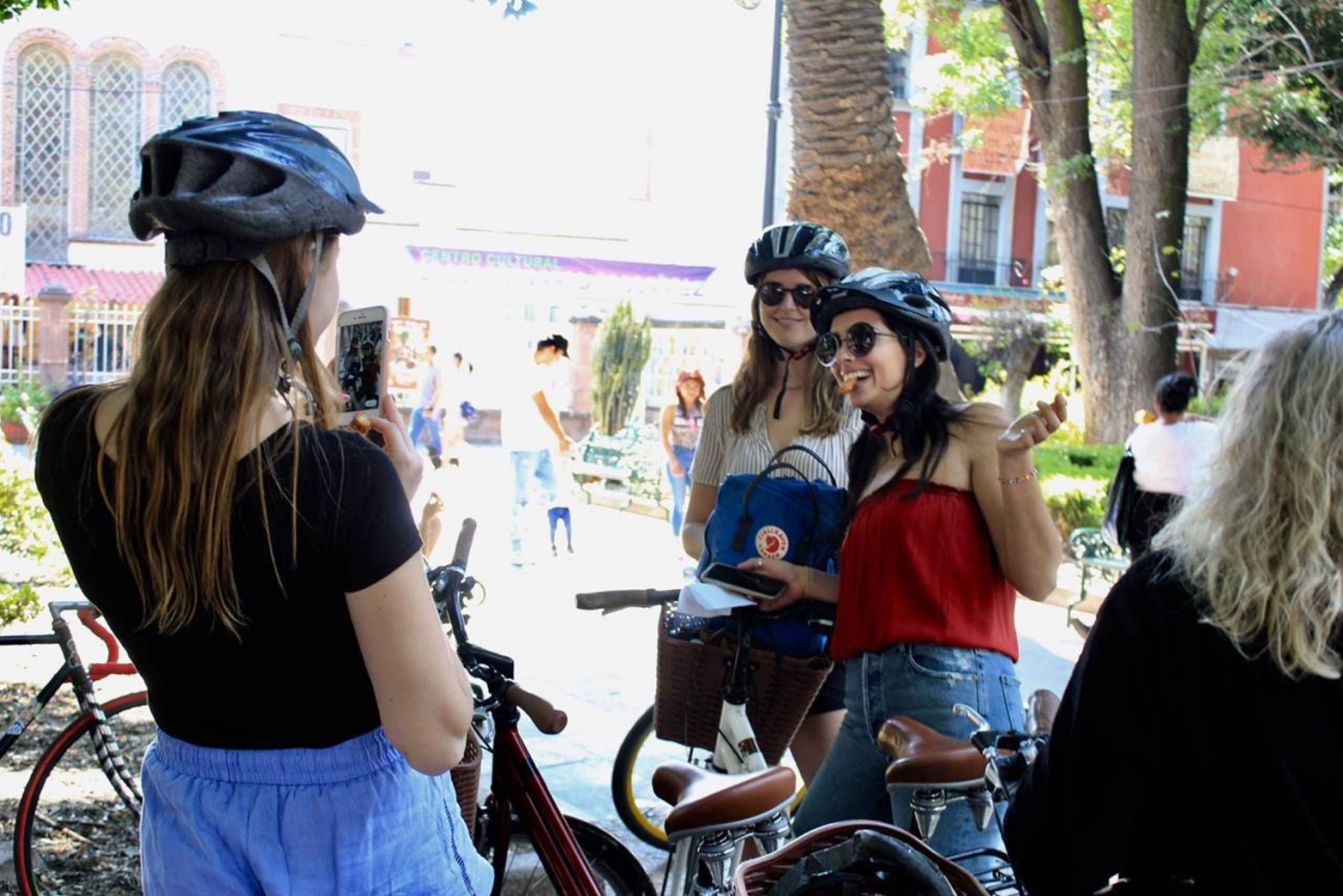 Cultural Ride: Historic center & Highlights of Mexico City