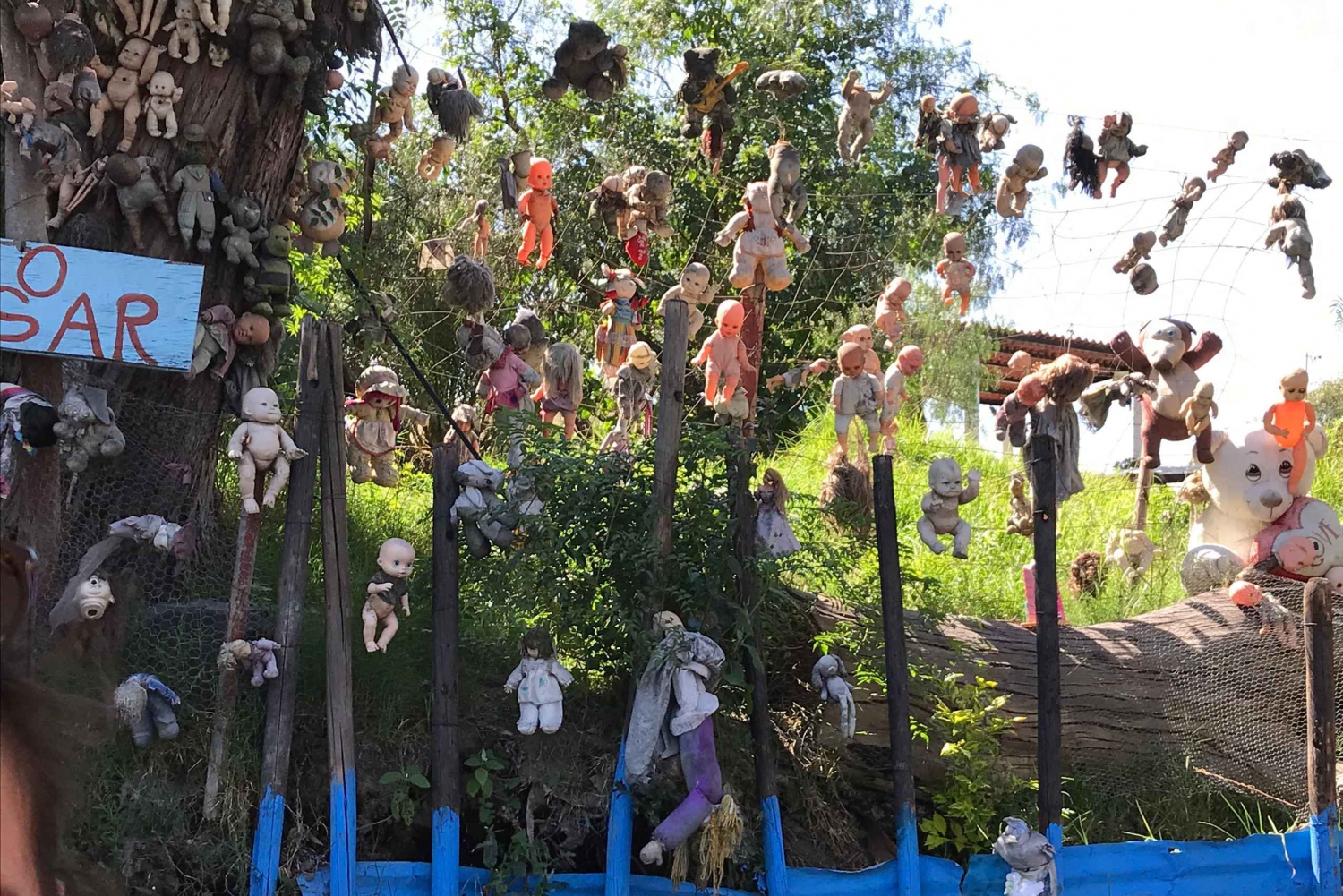 'Floating Party in Xochimilco: Canals, Tequila, and Tradition'