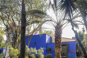 Frida Kahlo Museum Entrance Ticket + Digital Guide Booklet