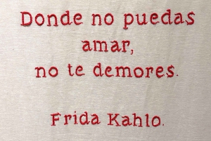 Frida Kahlo Museum Entrance Ticket + Digital Guide Booklet