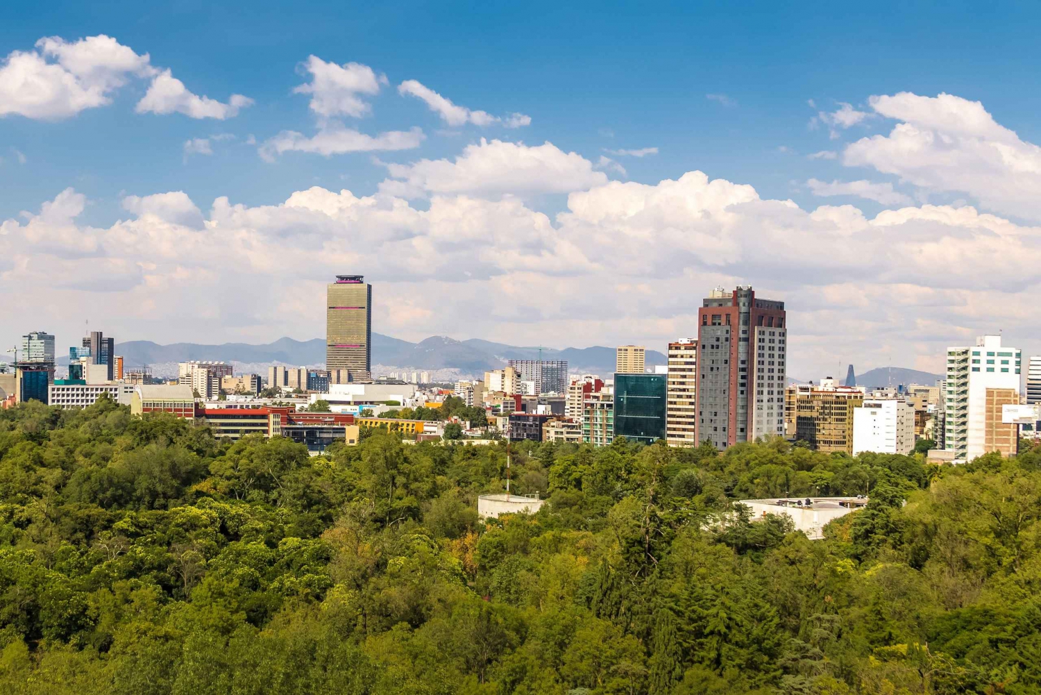 Get lost in the neighborhoods of CDMX on a private tour.