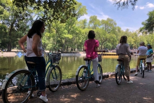 Ciudad de México: Experiencia histórica en bicicleta por Chapultepec y Reforma