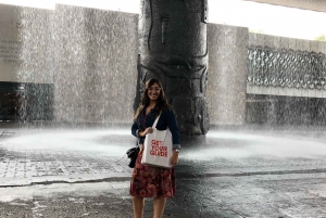 Ciudad de México: visita el Museo de Antropología con un historiador