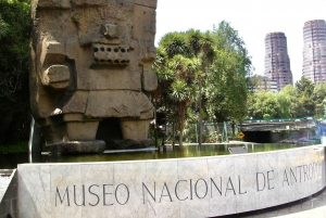 Ciudad de México: visita el Museo de Antropología con un historiador