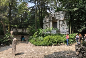 Ciudad de México: visita el Museo de Antropología con un historiador