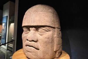 Ciudad de México: visita el Museo de Antropología con un historiador