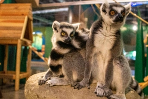 Mexico City: Entry Ticket to Acuario Michin