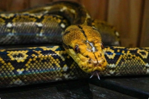 Mexico City: Entry Ticket to Acuario Michin