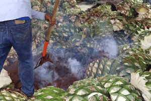Mexico City: Mezcal Tasting and Market Tour with Lunch