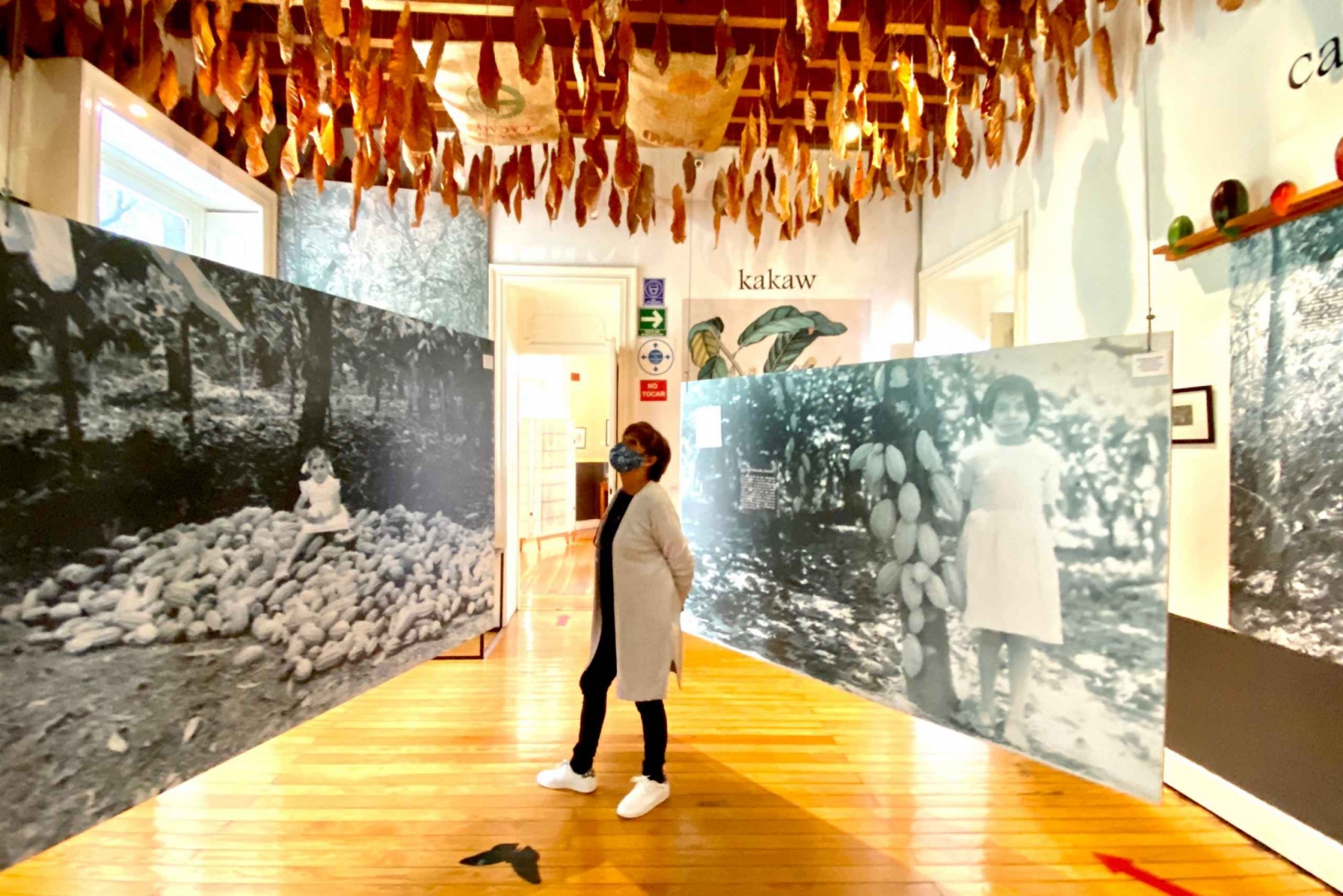 Ciudad de México: entrada al museo del chocolate MUCHO