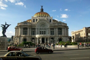Mexico City: Private custom tour with a local guide