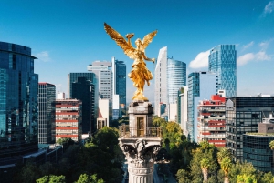 Mexico City: Private custom tour with a local guide