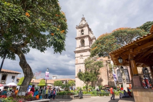 Mexico City: Private Valle de Bravo Day Trip