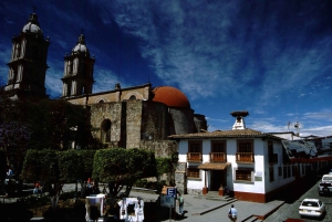 Mexico City: Private Valle de Bravo Day Trip