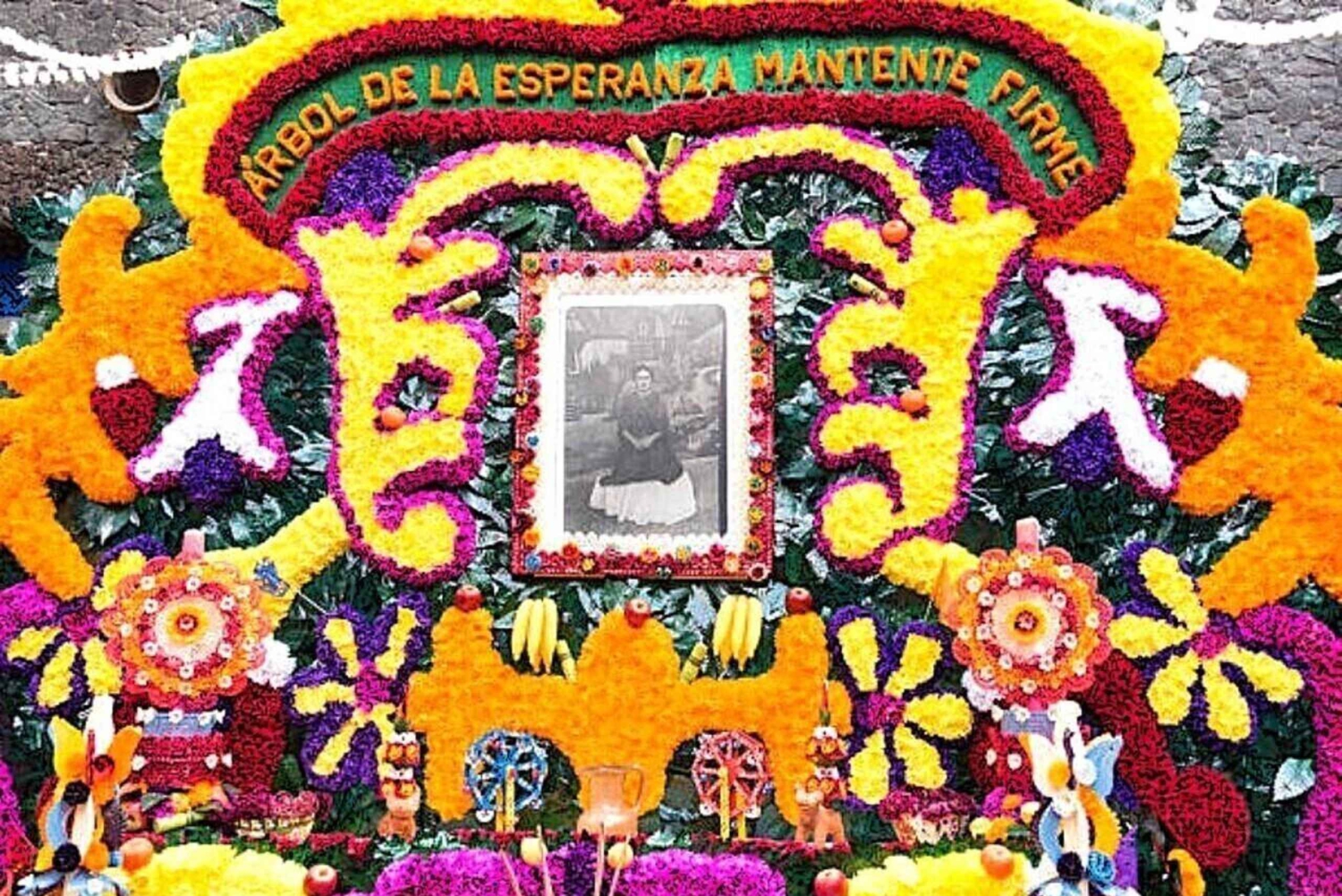 Access to the Frida Kahlo Museum with a Digital Guide