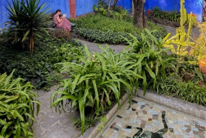 Access to the Frida Kahlo Museum with a Digital Guide