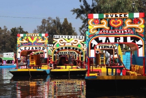 Ciudad de México: Sitios de la UNESCO Visita guiada privada de día completo