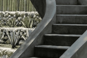 Ciudad de México: Sitios de la UNESCO Visita guiada privada de día completo