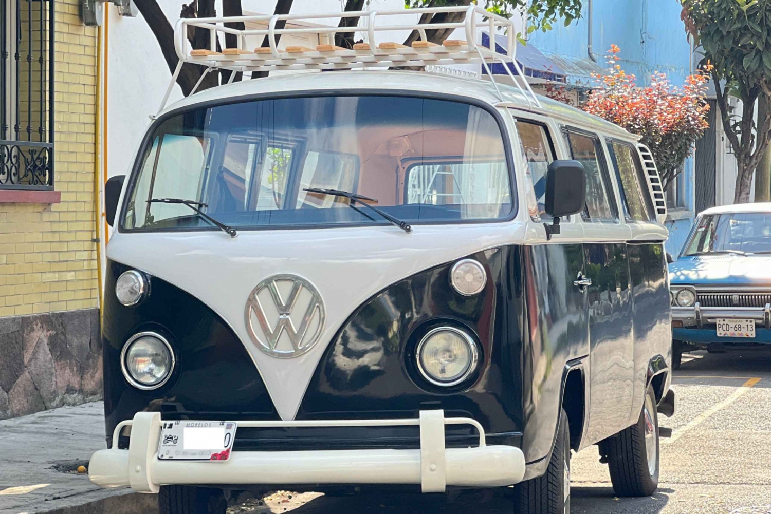 Mexico: Coyoacan & Xochimilco:VW bus, Boat & Brunch - Family