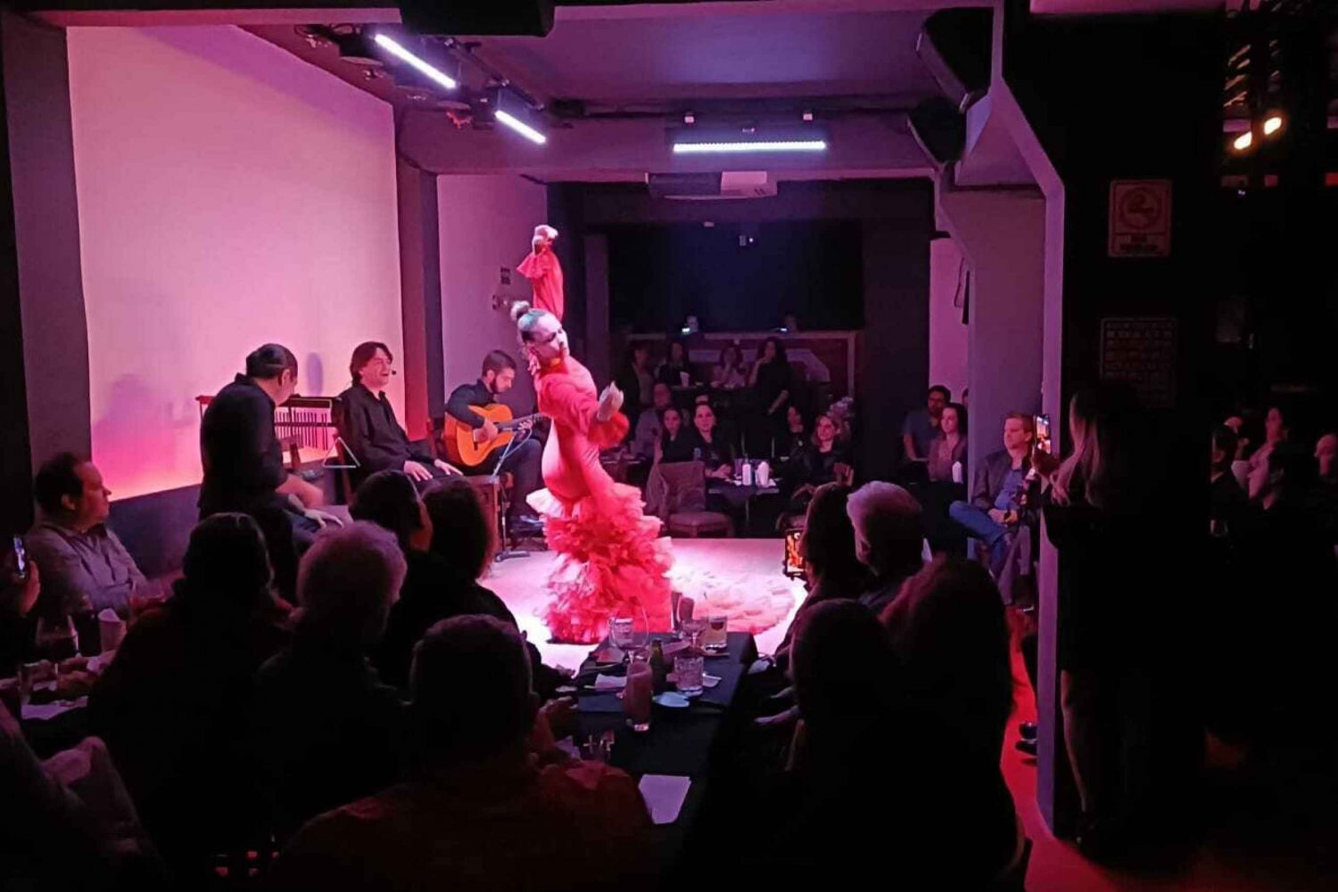 Ciudad de México: Tablao Flamenco Espectáculo en vivo y cena