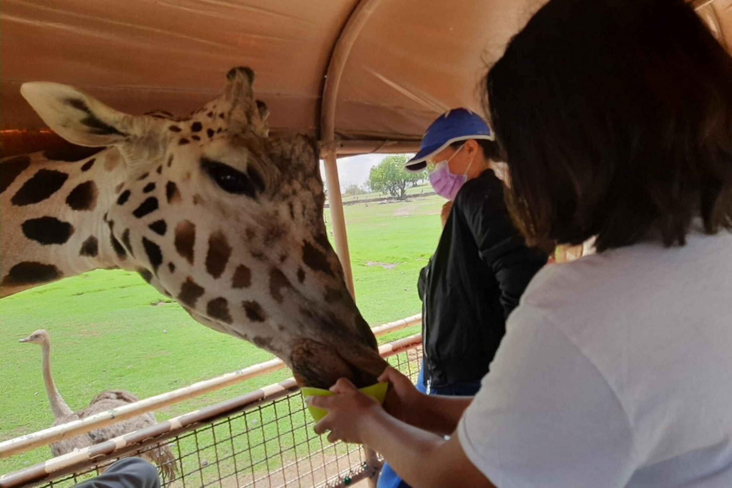 From Mexico City: Teotihuacan Tour & Reino Animal For Kids