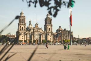 Guía turístico privado Ciudad de México: Experiencia personalizada