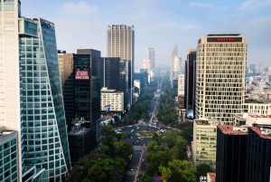 Guía turístico privado Ciudad de México: Experiencia personalizada