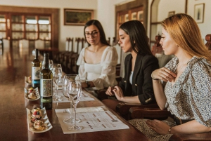 Tour privado a Peña de Bernal y Bodegas Freixenet desde CDMX