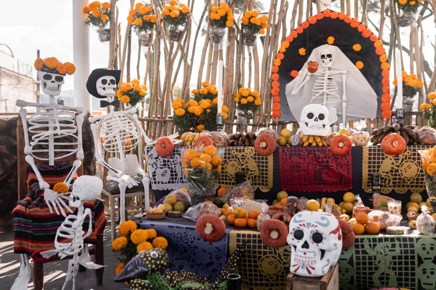 The Day of the Dead Private Tour in Mexico City