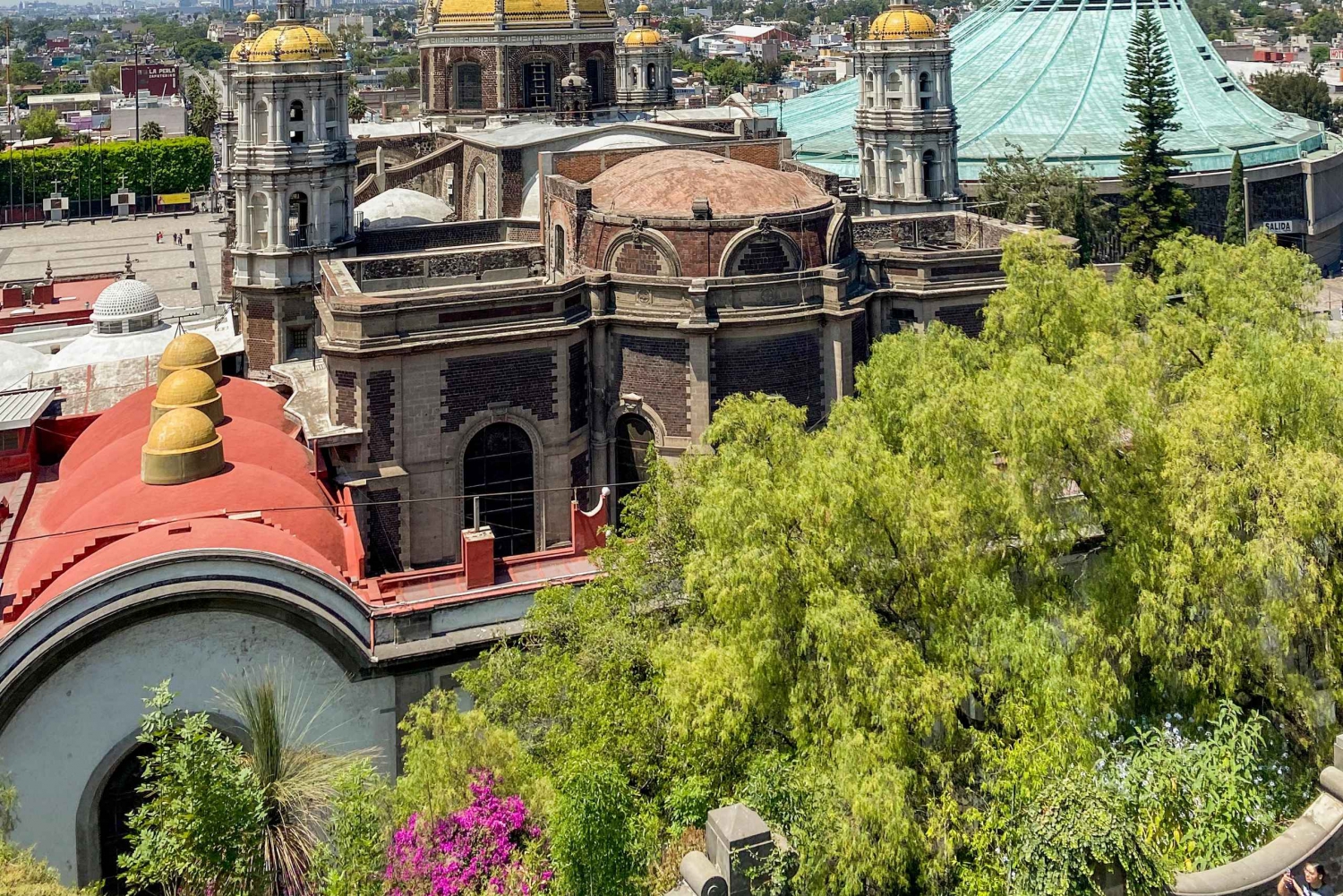 Mexico City: Explore Teotihuacan, Guadalupe, Xochimilco, Coyoacán, and more in 2 days