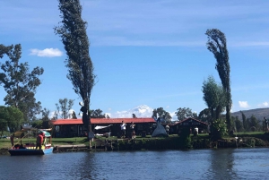Xochimilco Sereno: Una Tranquila Escapada Cultural de las Multitudes