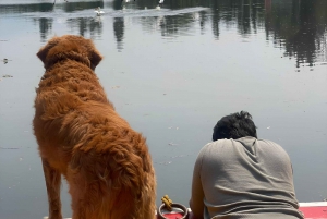 Xochimilco Sereno: Una Tranquila Escapada Cultural de las Multitudes