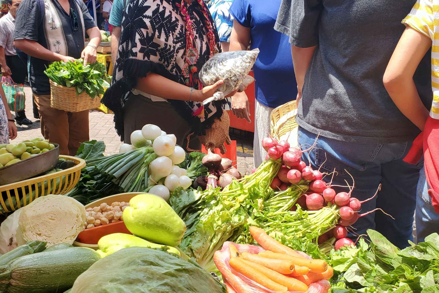 Xochimilco: Mercado, Comida y Naturaleza ¡Todo incluido! Visita