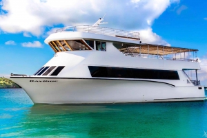 100ft 200 passenger 3 story mega yacht w open bar at Bayside