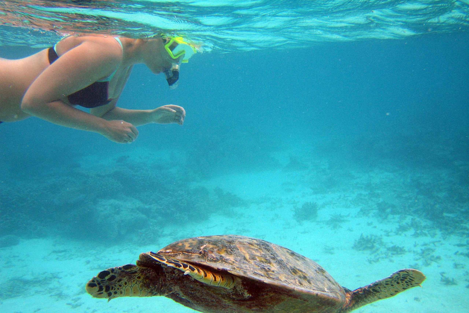 Desde Miami Excursión de un día a Cayo Hueso