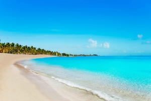 From Miami: Key West Day Trip